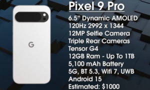 Google pixel 9 Pro launch date in India